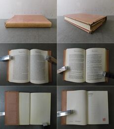 The Discovery of the Third World