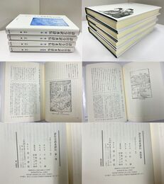 詳注全訳水滸伝 1-4巻 4冊一括 (既刊5冊)