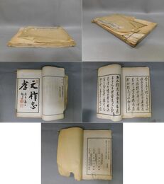 蕩々園華甲茗燕図録