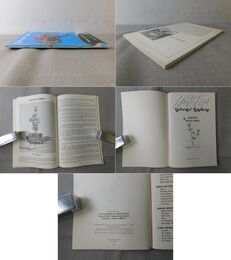 Greener Gardens Hawaiian Potted Plants