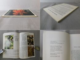 Coastal flowers of the tropical Pacific