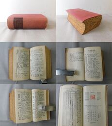 Inoue's Chinese-japanese dictionary 井上支那語辭典