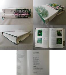 済州自生植物図鑑 Wild Plants of Jeju Island