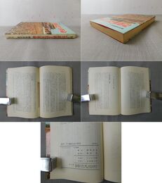 プロレタリア階級文化大革命