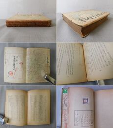 雲南四川踏査記