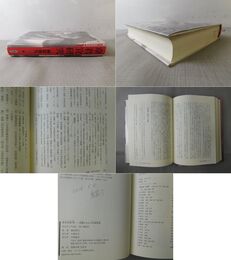 韋君宜研究　記憶のなかの中国革命