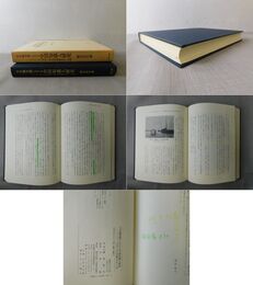 日中戦争期における 中国知識人研究