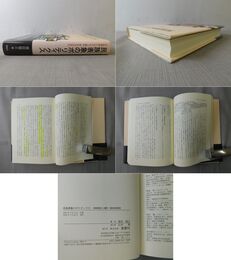 民族表象のポリティクス　中国南部における人類学・歴史学的研究