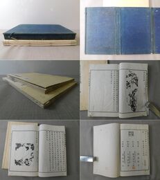 聴雨堂書画図録 天・地