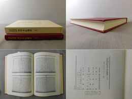 東京大学東洋文化研究所蔵「程甲本紅樓夢」上巻