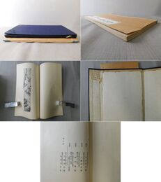 関雪自選三十題