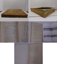 第一次満蒙学術調査研究団報告 第2部 地質学 第3編