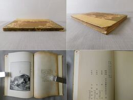 金刀比羅宮応挙画集