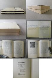 日本近代美術論争史 正・続編共 全2巻揃