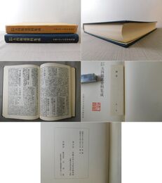 日本新聞 五四報道資料集成