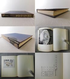 山田正平作品集 限定版