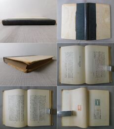 変革期支那の認識