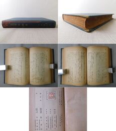 支那大陸横斷　遊蜀雑爼