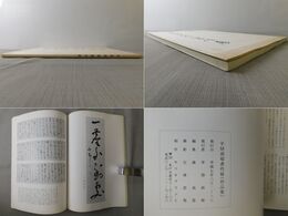 平勢雨邨書作展
