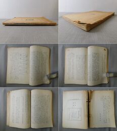 中国新文学之源流 支那学翻訳叢書4