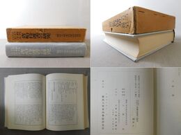 江戸時代における唐船持渡書の研究 関西大学東西学術研究所研究叢刊 一