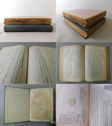 支那基督教の研究 2