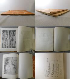 新撰名品綜覧 近世画篇第一・第二