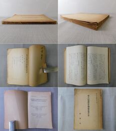 第八回国際労働総会報告書