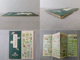 最新理科学習図鑑