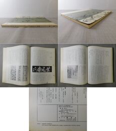 「墨美 No.290」中林梧竹（一）生涯篇