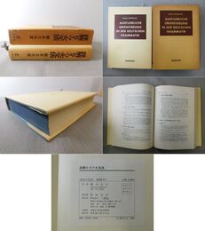 詳解ドイツ大文法