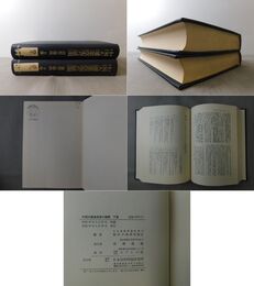 中国大躍進政策の展開 上・下巻