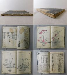 立花早指南大成