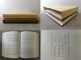 中國語史の資料と方法