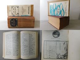 詳解 日華大辞典