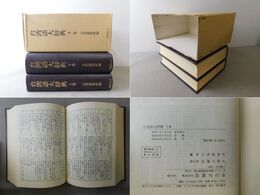 台湾語大辞典 上・下 全2巻