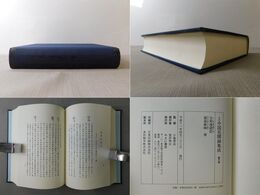 大正 中国見聞録集成 第6巻 復刻版