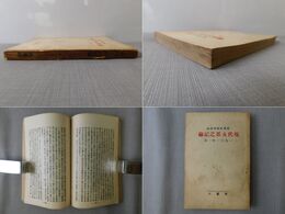 現代支那之記録 一九三一年一月