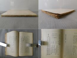 支那の売笑 支那風物叢書第5編