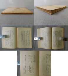 支那の売笑 補訂 支那風物叢書第5編