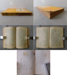 支那革命史