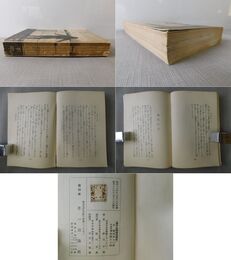 揚子江艦隊従軍記
