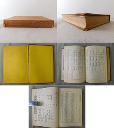中國春聯集解 語学・文学・揮毫・作詩之栞