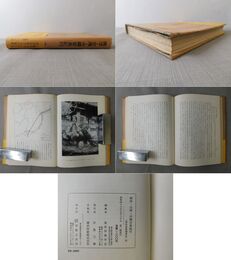 南洋・台湾・沖縄音楽紀行 東洋音楽選書５