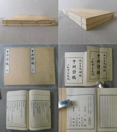 中洲詩稿 一・二