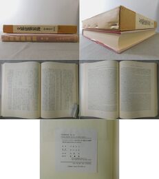 支那建築装飾 第一巻 伊東忠太著作集第Ⅱ期 新装版