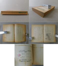 抗日自衛隊 新兒女英雄傳