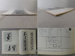 「墨美 No.268」中野越南 90翁の書 V