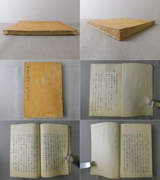 弟扶思發病原症及治療書