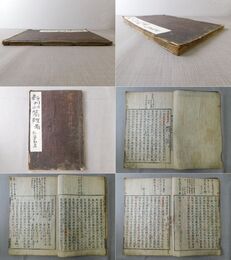 新刊明医雑著